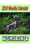 2018 Weekly Calendar Weimaraner