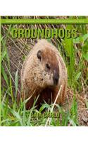 Groundhogs
