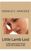 Little Lamb Lost