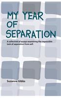 My Year of Separation