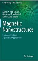 Magnetic Nanostructures