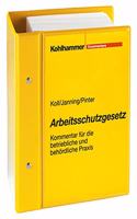 Arbeitsschutzgesetz