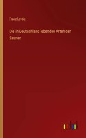 in Deutschland lebenden Arten der Saurier