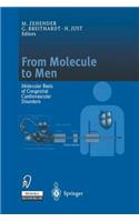 From Molecule to Men