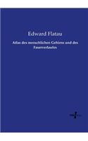 Atlas des menschlichen Gehirns und des Faserverlaufes