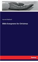 Bible Evergreens for Christmas