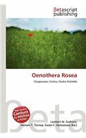 Oenothera Rosea: (English)