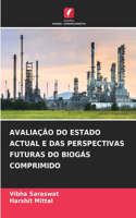 Avaliação Do Estado Actual E Das Perspectivas Futuras Do Biogás Comprimido