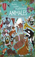 Muchos Muchos Muchísimos Animales