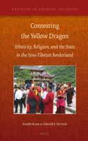 Contesting the Yellow Dragon