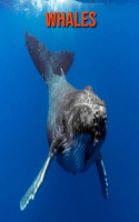 Whales