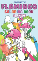 Fantastic Flamingo Coloring Book For Kids