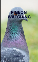 Pigeon Watching