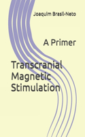 Transcranial Magnetic Stimulation