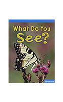 Science Leveled Readers: On-Level Reader Grade K What Do You See?: (Paperback)