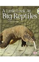 Bug Club Guided Non Fiction Year 1 Blue B A Little Look at Big Reptiles