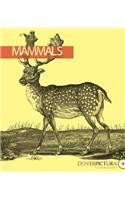 Mammals