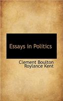 Essays in Politics