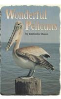 Wonderful Pelicans