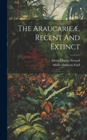 Araucarieæ, Recent And Extinct