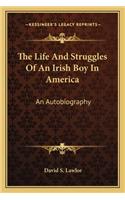 The Life And Struggles Of An Irish Boy In America