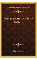 Forage Plants and Their Culture