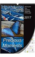 Precious Moments - Put in Your Own Precious Moments 2017: Collect Your Own Special Moments of the Year. Enjoy 12 Wonderful Colour Combinations Which Will Lead You Through the Whole Year(Calvendo Fun)