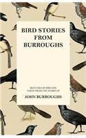 Bird Stories from Burroughs - Sketches of Bird Life Taken from the Works of John Burroughs