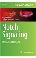 Notch Signaling