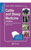 Cattle and Sheep Medicine