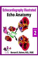 Echo Anatomy