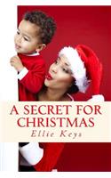 A Secret for Christmas