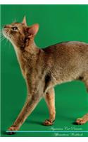 Abyssinian Cat Affirmations Workbook Abyssinian Cat Presents: Positive and Loving Affirmations Workbook. Includes: Mentoring Questions, Guidance, Supporting You.