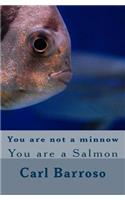 You are not a minnow