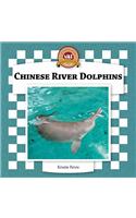 Chinese River Dolphins