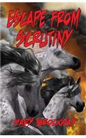 Escape From Scrutiny