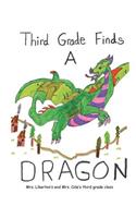 Third Grade Finds a Dragon