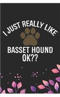 I Just Really Like Basset Hound Ok?
