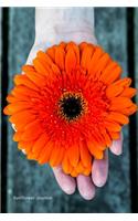 Sunflower Journal