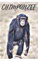 Chimpanzee Notebook