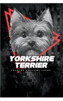 Yorkshire Terrier Fucking Awesome Ideas