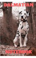 Dalmatian Notebook