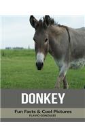 Donkey: Fun Facts & Cool Pictures