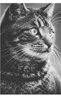 Notebook - Tabby Cat