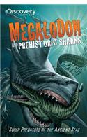 Megalodon and Prehistoric Sharks: Megladon &amp; Prehistoric Sharks