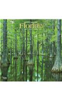 Florida Wild & Scenic 2021 Square Foil