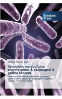 Xenobiotic Metabolizing Enzyme Genes & Esophageal & Gastric Cancers