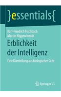 Erblichkeit Der Intelligenz