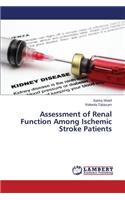 Assessment of Renal Function Among Ischemic Stroke Patients