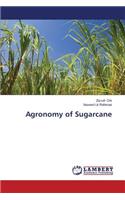 Agronomy of Sugarcane
